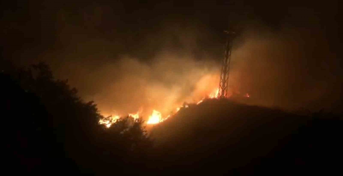 Bingöl’de orman yangını
