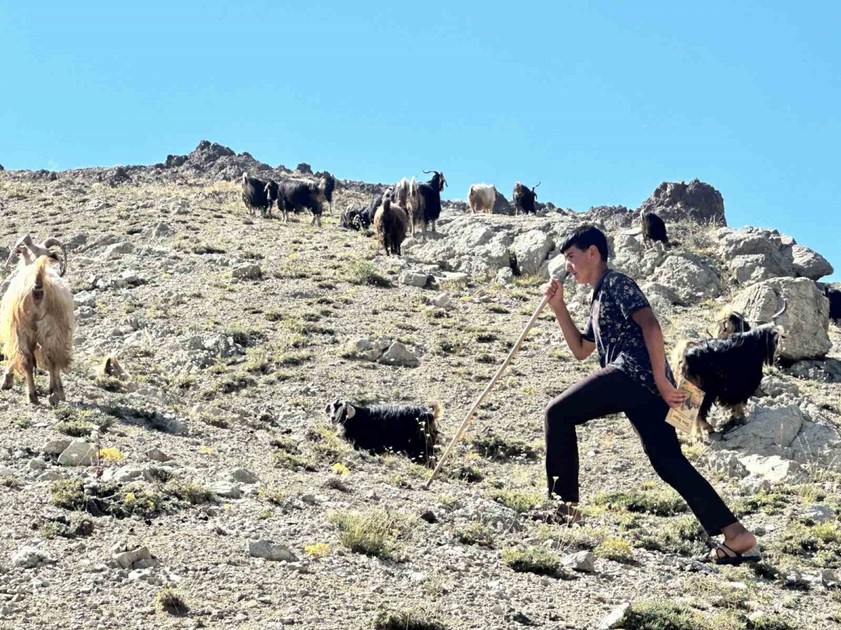 Yaylada çobanlık yapan Muhammet, LGS’de Türkiye ikincisi oldu
