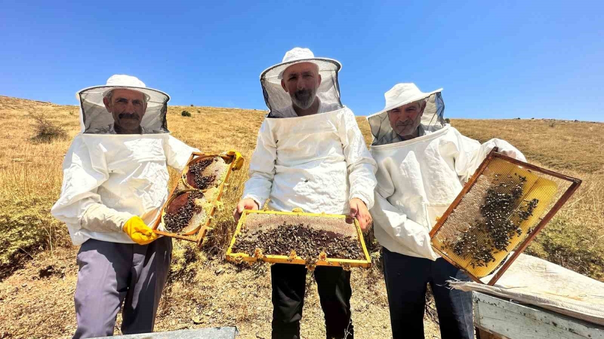 2000 rakımda tescilli geven balının hasadı başladı
