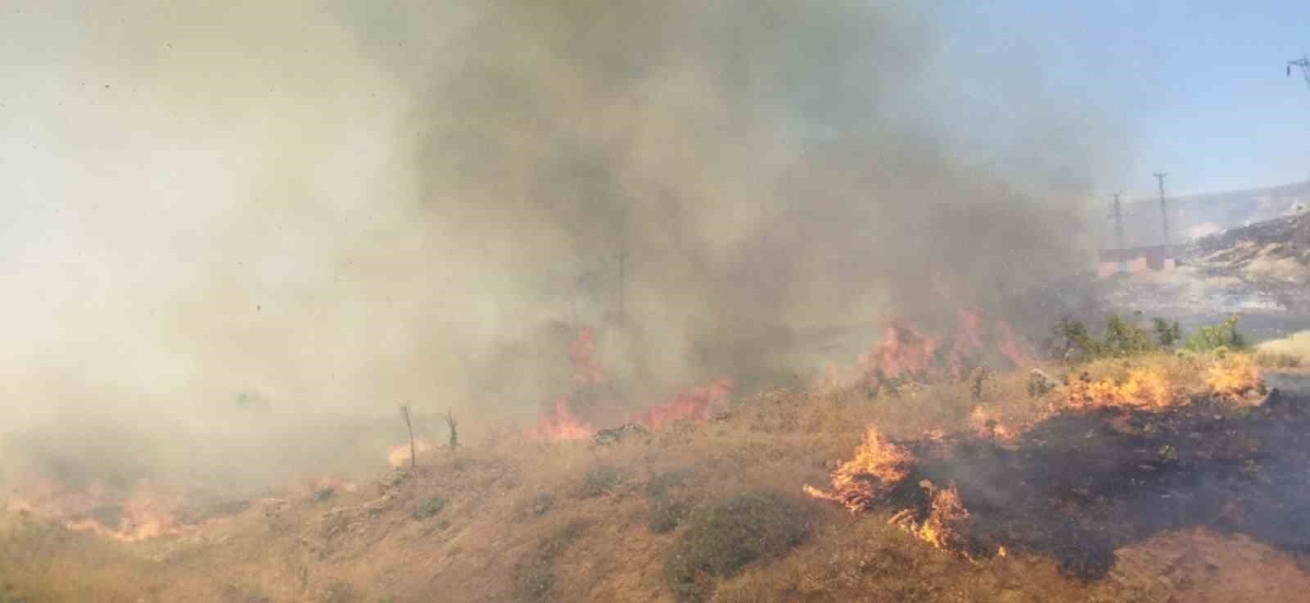 Bingöl’deki orman yangın söndürüldü
