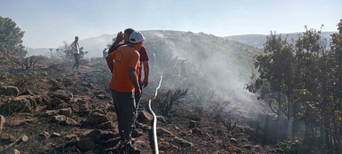 Bingöl’deki orman yangını kontrol altına alındı
