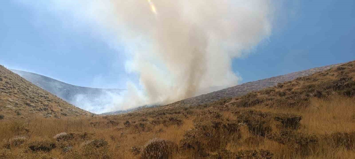 Bingöl’de iki bölgede çıkan yangın söndürüldü
