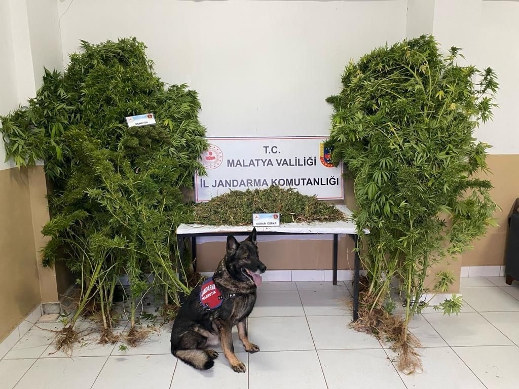 Jandarmadan uyuşturucu operasyonu: 2 tutuklama
