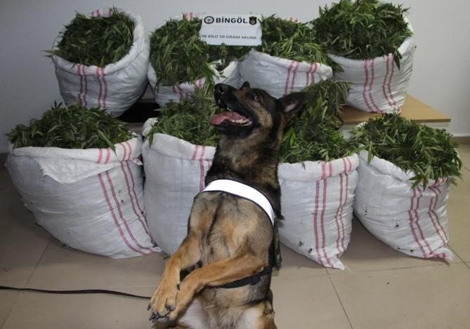 Bingöl’de bir haftada 112 kilo uyuşturucu ele geçirildi
