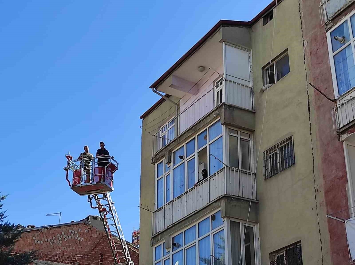 Balkonda mahsur kalan kediyi HAYDİ ve itfaiye ekipleri kurtardı
