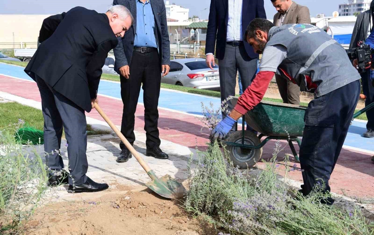 Başkan Çınar, Lavanta bahçelerini inceledi
