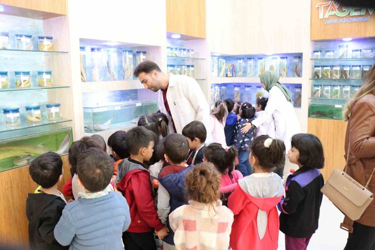 Elazığ’da öğrenciler balık müzesini gezdi
