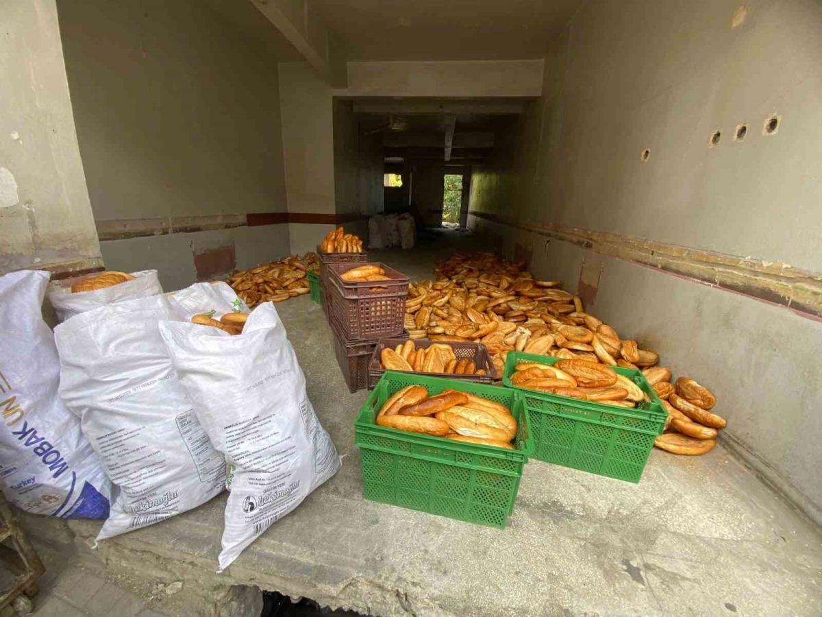 Yüzlerce ekmek kullanılmayan binaya atılmıştı, ekipler inceleme başlattı
