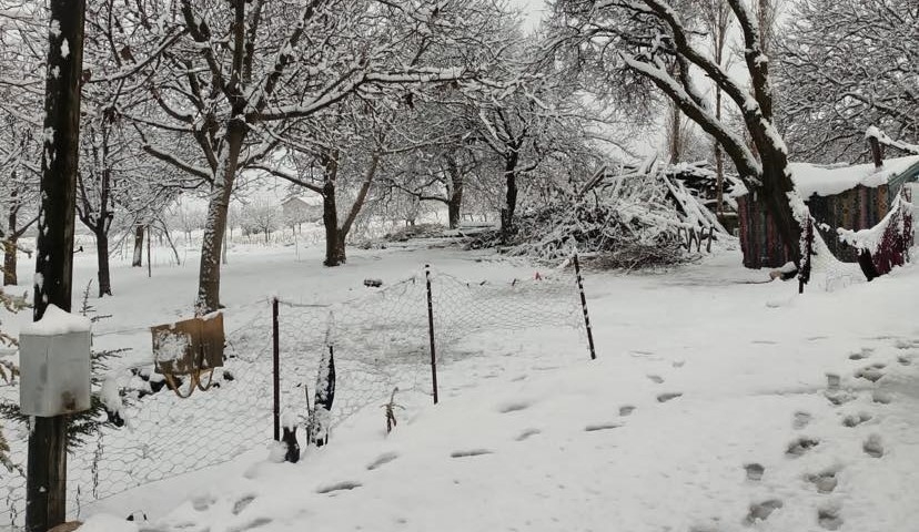 Malatya’nın Darende ilçesinde kar yağışı etkili oldu
