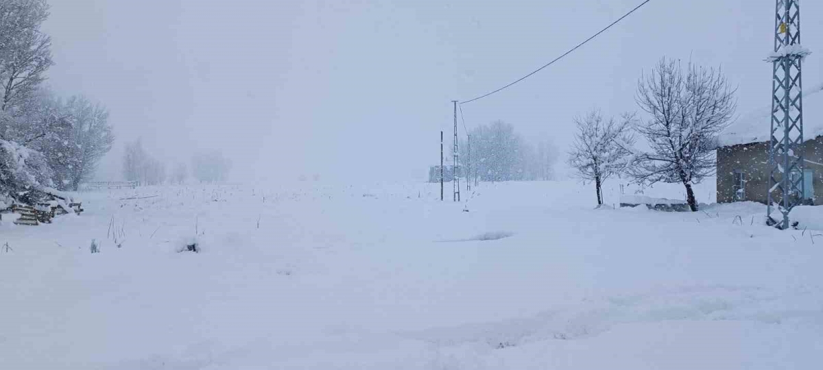 Tunceli kara teslim
