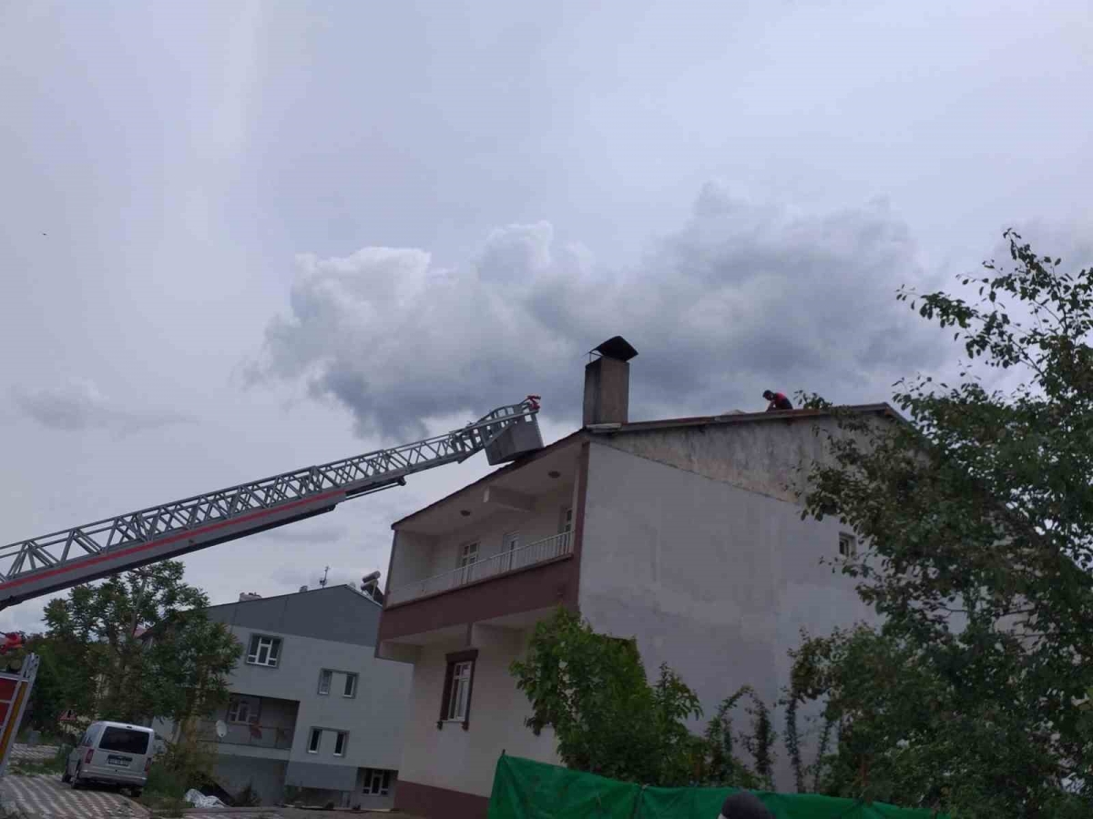 Cami kubbesindeki leylek yuvası, yıkım nedeniyle taşındı
