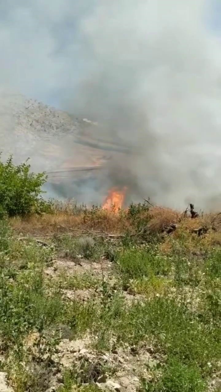 Kuşlar elektrik tellerine çarptı, kıvılcımlar yangına neden oldu
