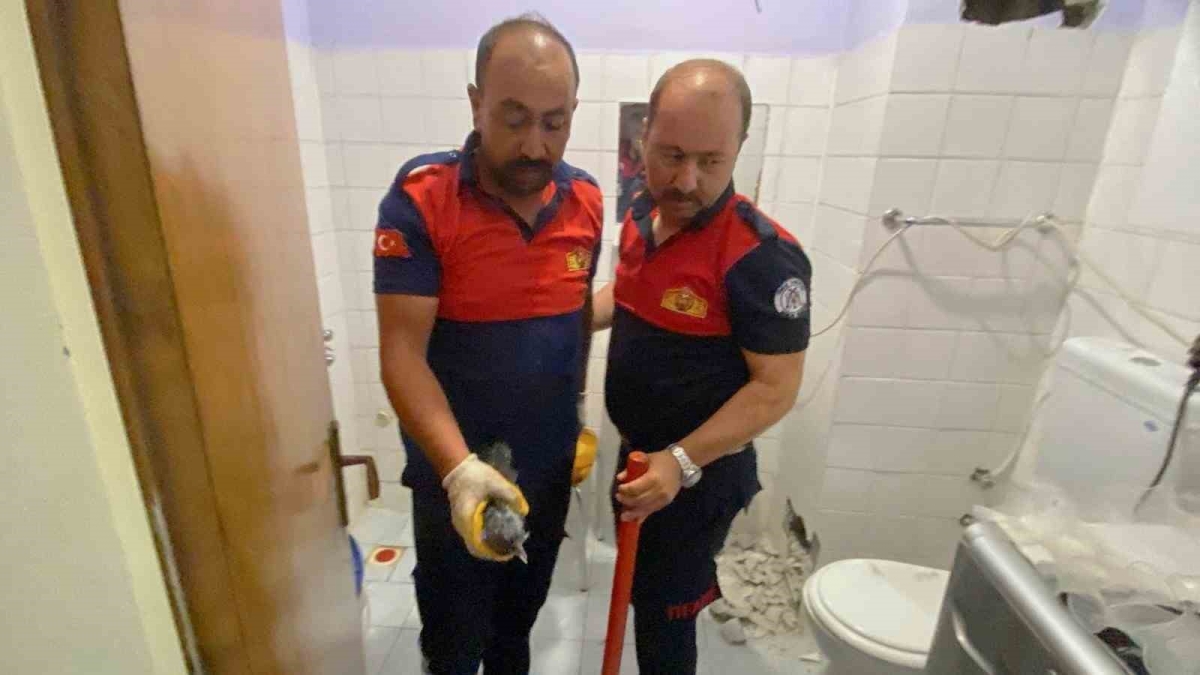 Havalandırma boşluğunda sıkışan karga yavrusu kurtarıldı
