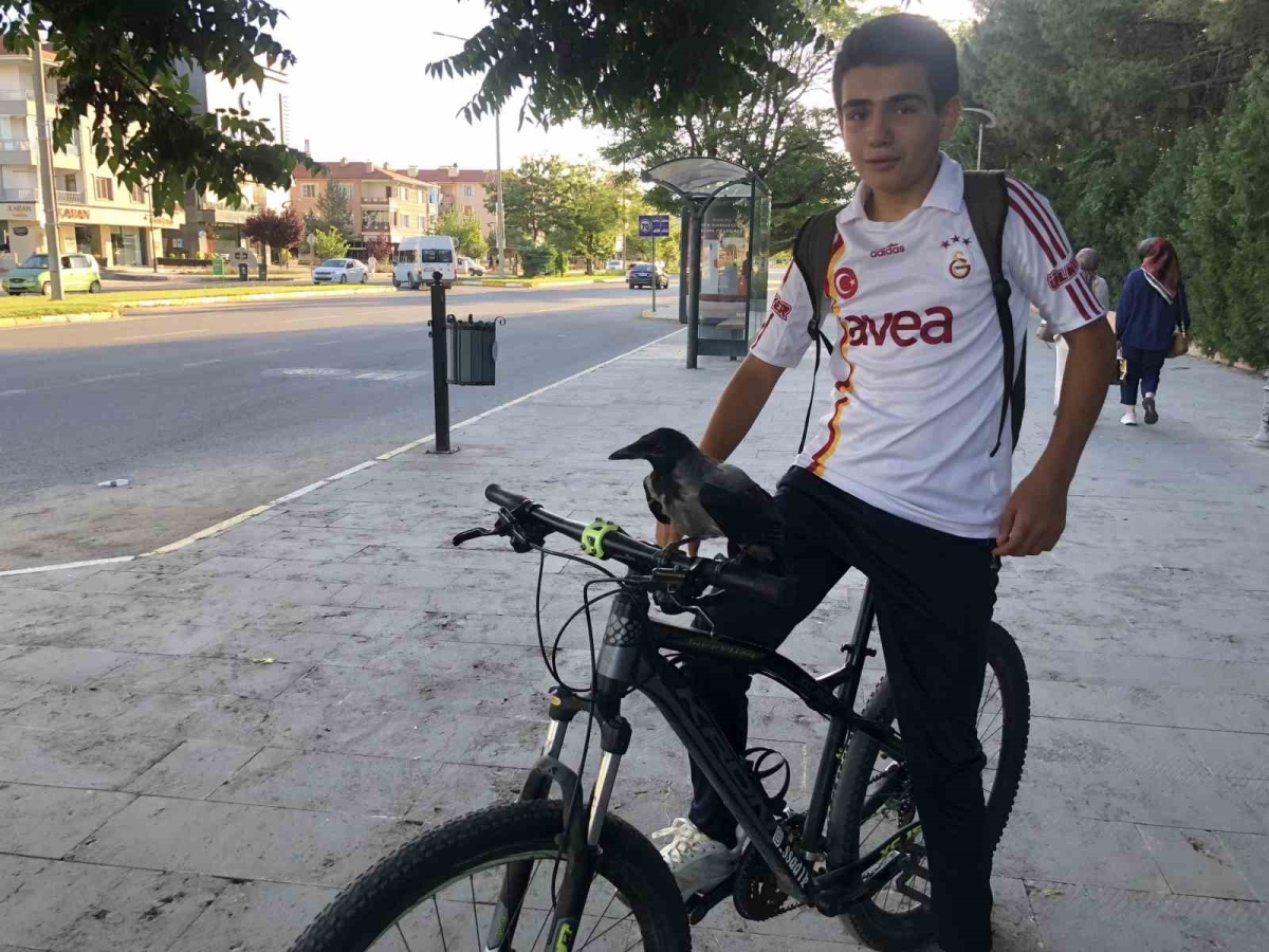 Erzincan’da karga ile lise öğrencisinin dostluğunu görenler imreniyor
