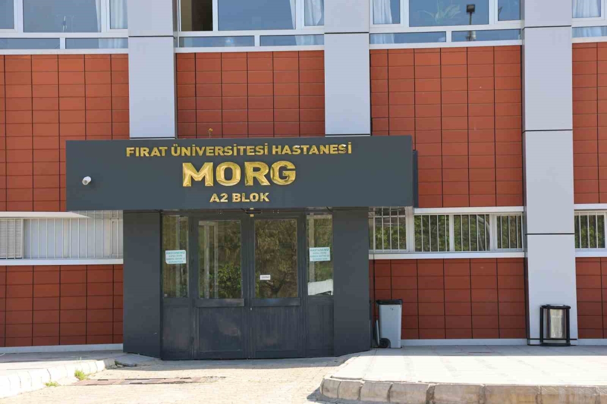Devrilen traktörün altında kalarak hayatını kaybetti
