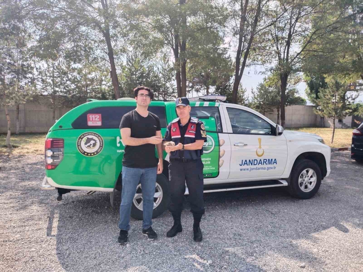 Keklik koruma altına alındı
