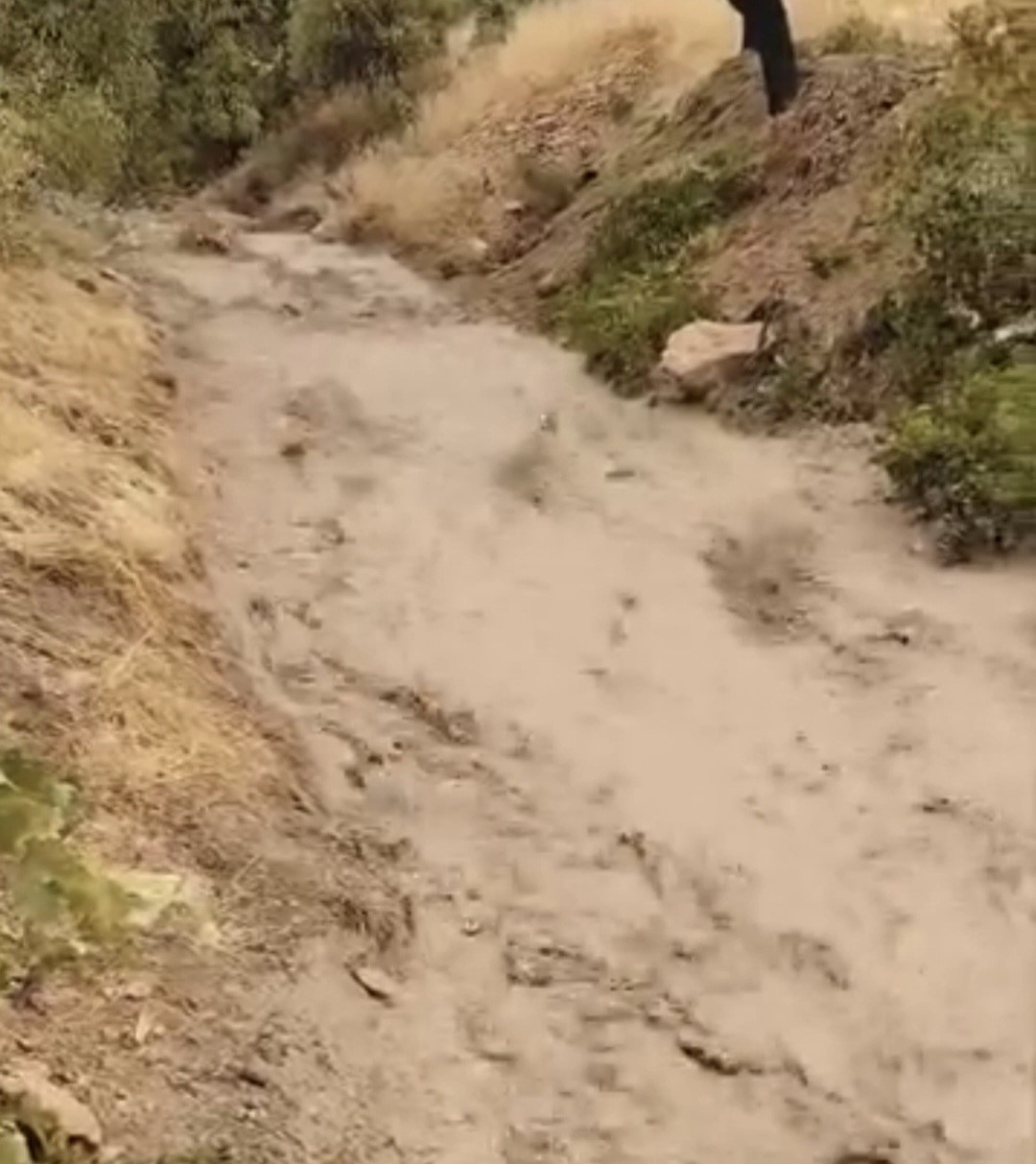 Elazığ’da sağanak dereleri taşırdı
