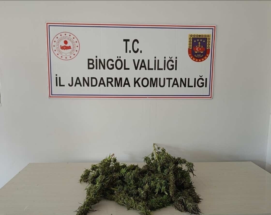 Bingöl’de uyuşturucuyla mücadele sürüyor
