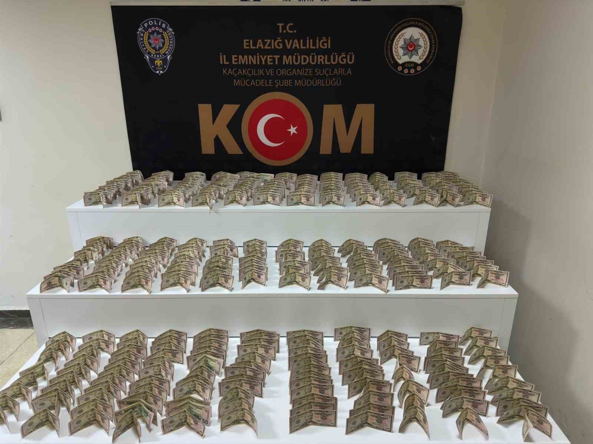 Elazığ’da 700 bin lira değerinde sahte para ele geçirildi: 1 tutuklama
