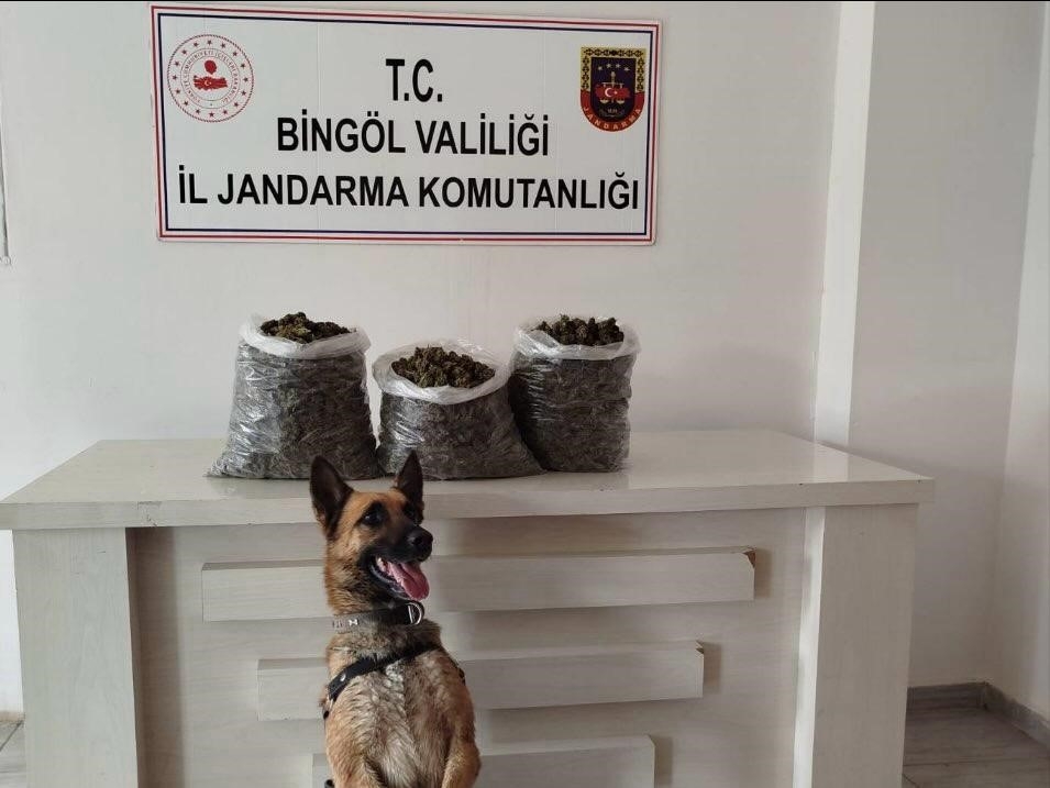 Bingöl’de 4,5 kilo esrar ele geçirildi
