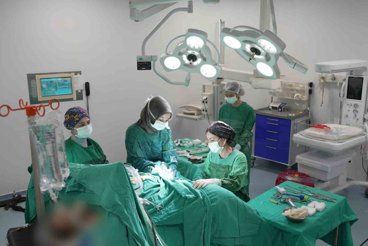 Endometrium kanserinde yenilikçi yöntem
