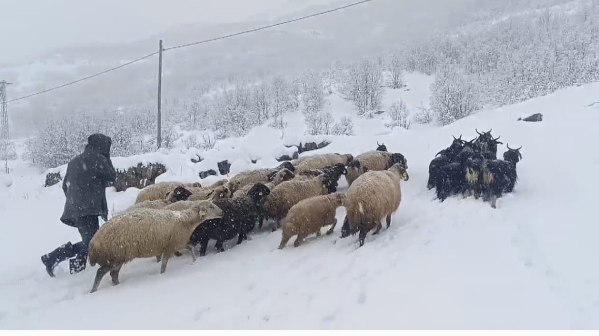 Muş’ta kar yağışı çiftçilerin hayatını olumsuz etkiledi
