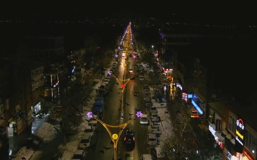 Erzincanlıların başı kargalarla dertte
