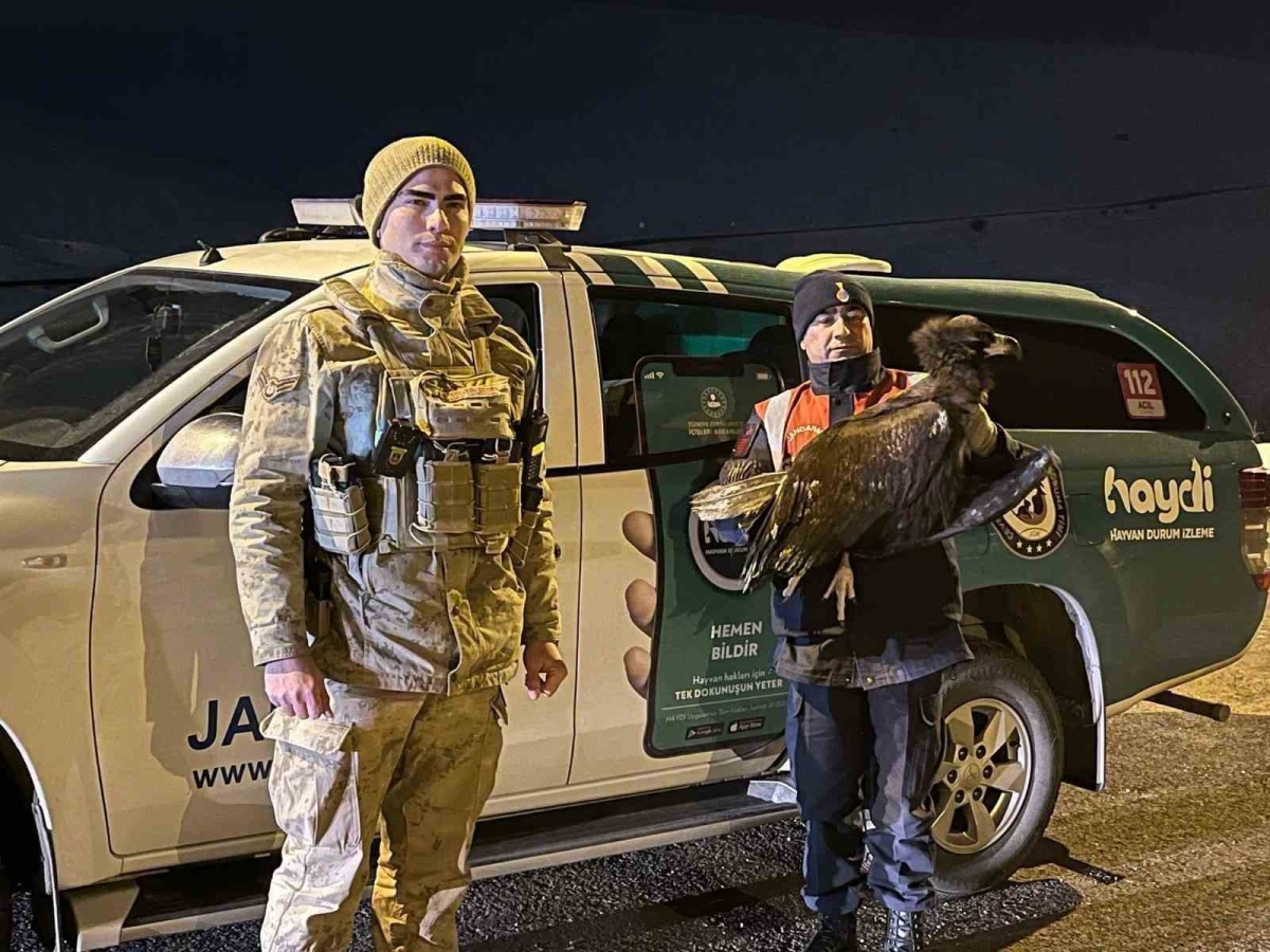 Akbabaya jandarma şefkati
