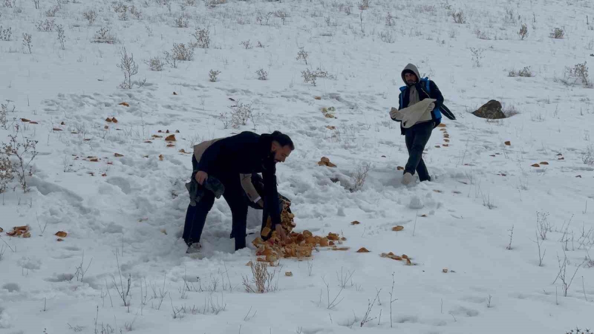 Muradiyeli gönüllüler yaban hayvanlarını unutmadı
