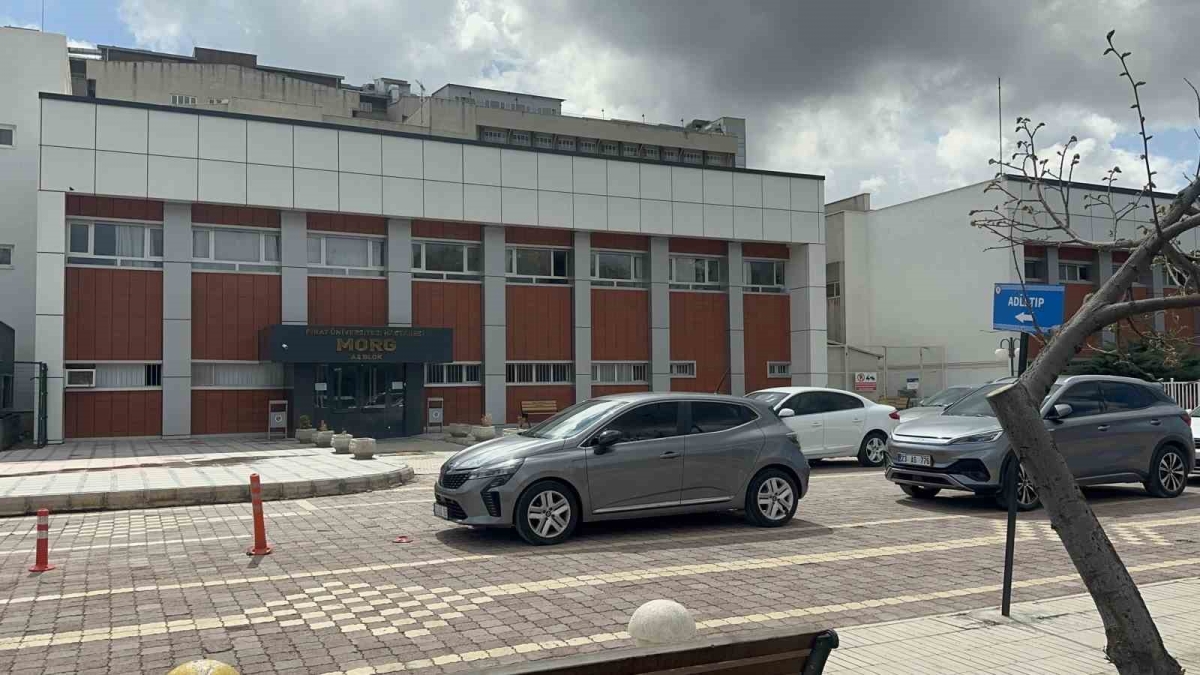 Kardeşinin ve kızının mezarını ziyaret eden kadın, bir gün sonra hayatını kaybetti
