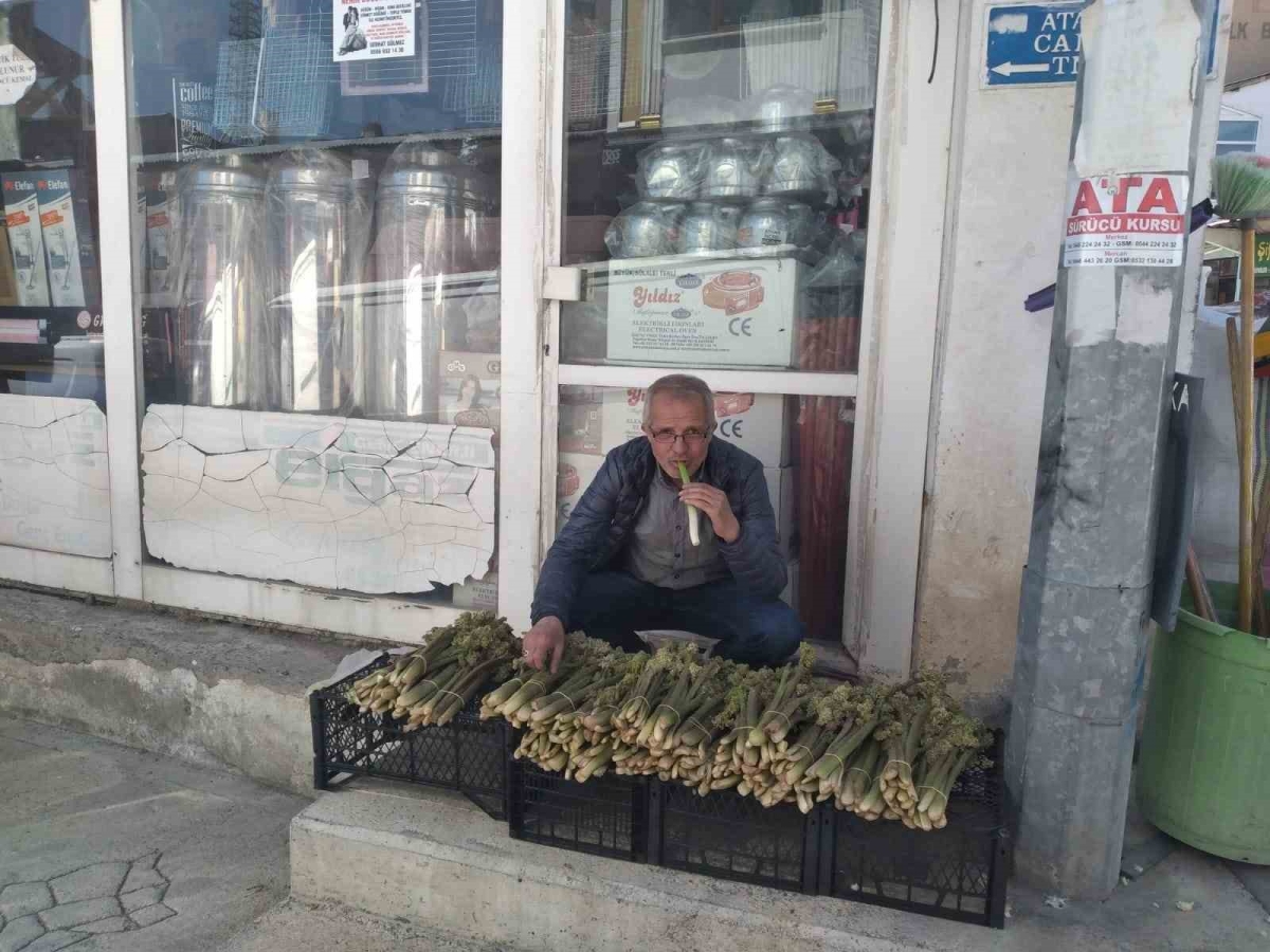 Tercan’da ‘yayla muzunun’ destesi 50 ila 80 TL’den satışta
