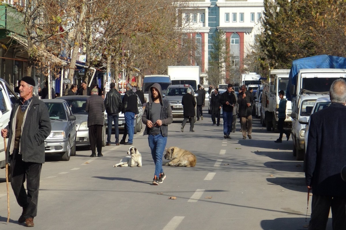 HÜDA PAR İlçe Başkanları ve vatandaşlar sokak köpekleri için yetkililere seslendi