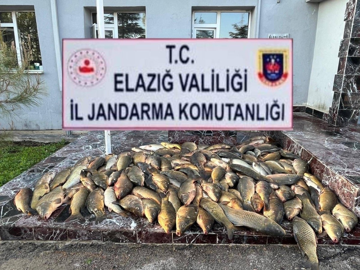 Kaçak balık avı yapan 3 şahsa 49 bin lira ceza   