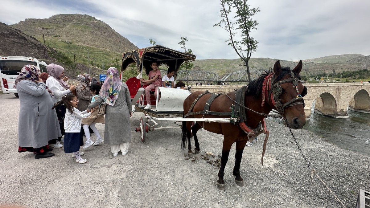 Tarihi ilçe artık faytonla gezebilecek