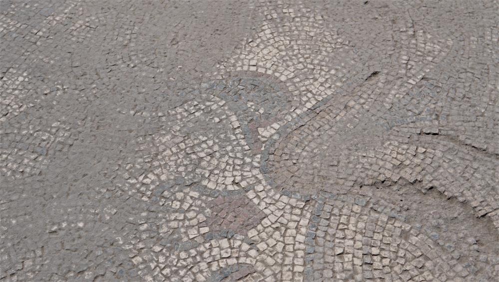 Tarlada çiftçinin bulduğu tarihi taban mozaikler gün yüzüne çıkarılıyor
