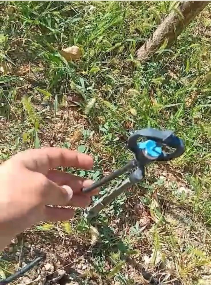 Elazığ’da tarlalara dadanan kargalar, sulama fıskiyelerini kopardı
