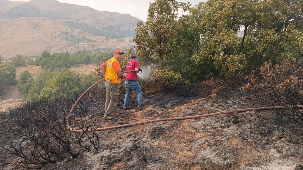 Bingöl’de ormanlık alanda çıkan yangın söndürüldü

